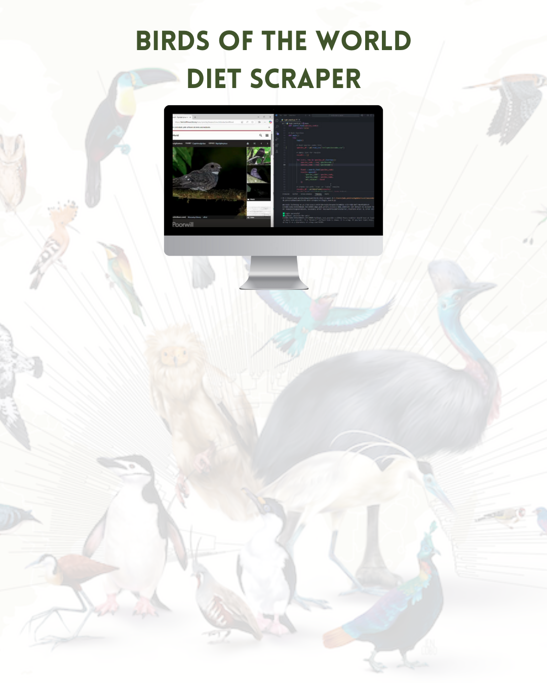 Imagem do Projeto: Birds of the World Diet Scraper