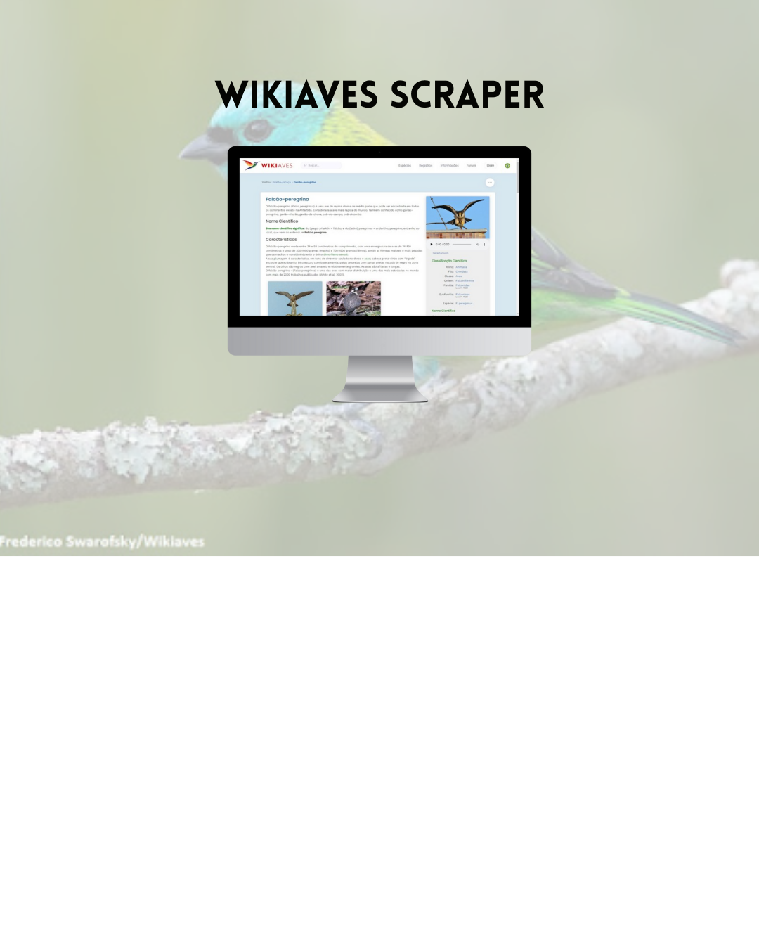 Imagem do Projeto: Wikiaves Scraper